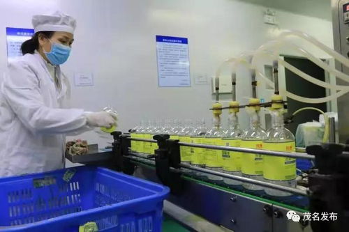 多方力量齐汇聚，保障茂名防疫物资供应